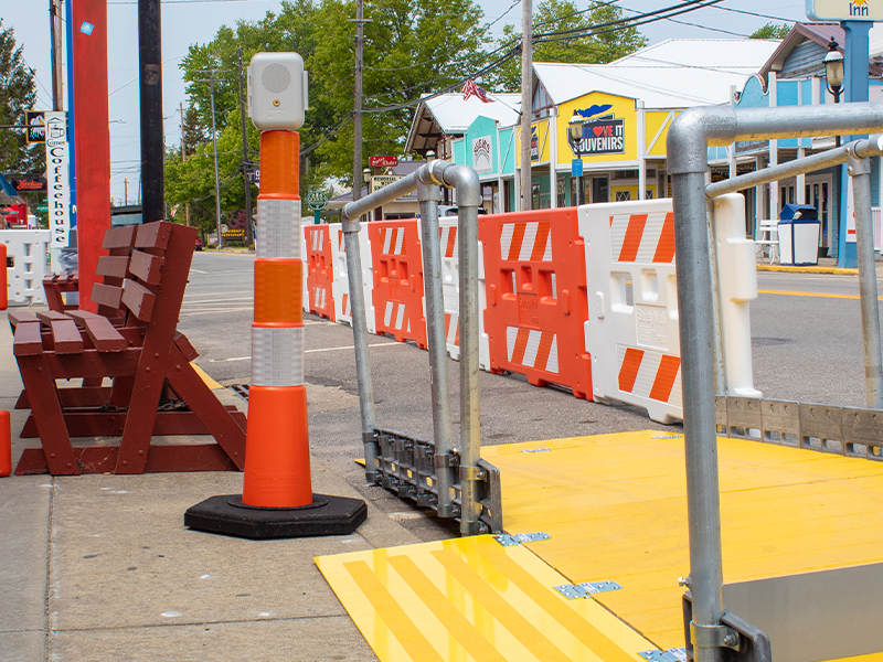 True?Parakeet in Application: