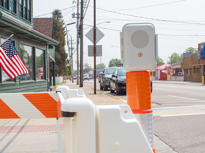 True?Parakeet Mounted: