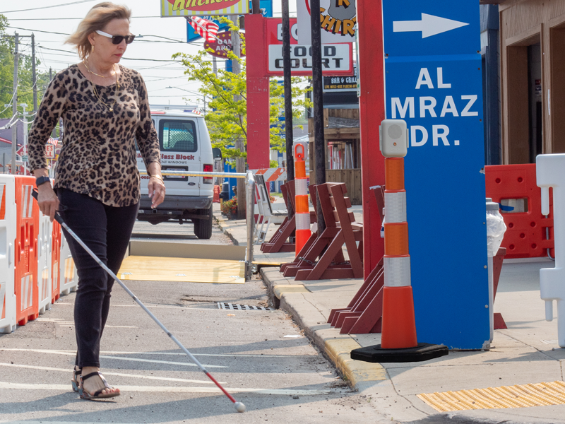 True?Parakeet Accessibility: